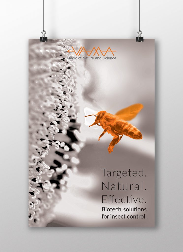 Poster design for VAMA